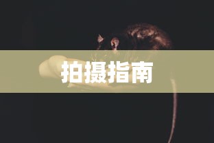 电视猫节目表  第1张