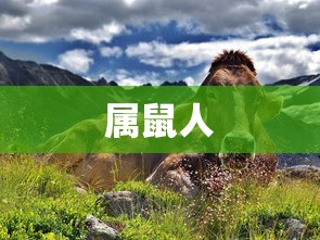 hd graphics 530相当于什么显卡  第1张