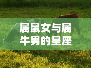CF手游AR宝箱玩法指南  第1张