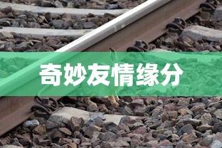 周小川父亲  第1张