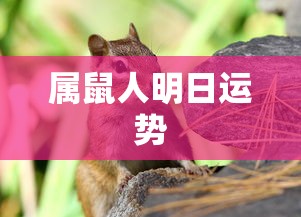 神魔大陆，火枪传奇与英勇战士的传说  第1张