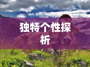 路由器的基本功能  第1张