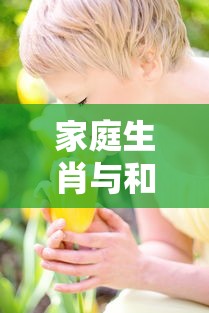 房契税2025年收费标准是多少  第1张