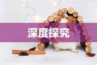 AO3官网链接入口，探索文学与创意的乐园  第1张