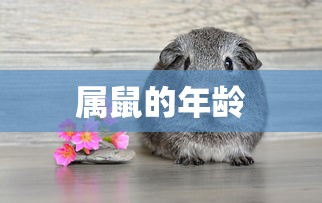 横扫天下手游官网下载  第1张