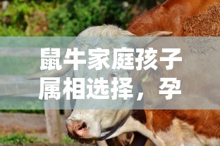 路人超能100  第1张