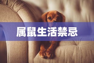 对马岛之魂内经的诅咒  第1张