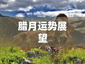 网络流行语买了个佛冷的背后含义  第1张