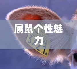 FGO冠位英灵有哪些  第1张