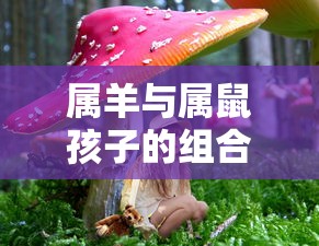 阴阳师御魂位置属性  第1张