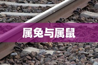 优秀作文开头与结尾的魅力，摘抄与赏析  第1张