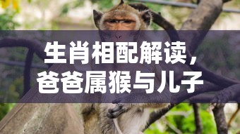 塔防三国志论坛公告  第1张