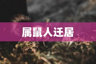 异界逍遥天尊  第1张