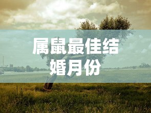 女足世界杯历届冠亚军一览表  第1张