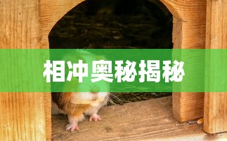 快穿之吞噬规则  第1张