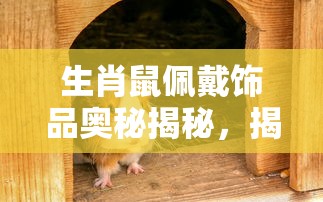 盗墓笔记系列完整txt百度网盘  第1张