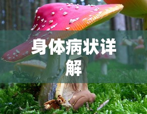 三个代表重要思想是什么时候提出来的  第1张
