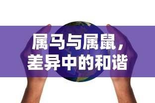 一万元左右电动四轮车需要驾照吗  第1张