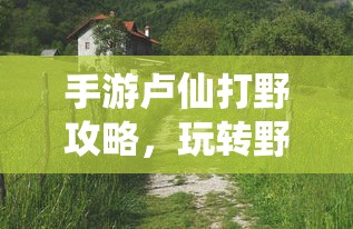 掌机传奇手游深度体验与攻略分享  第1张