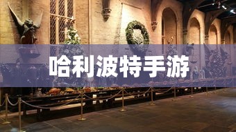 同人小说什么意  第1张
