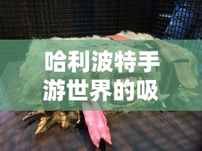 传奇手游打金微信提现版是真的吗  第1张