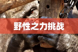 Q宠大乐斗官网入口  第1张