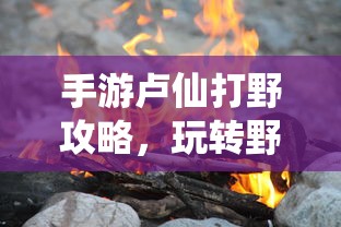 奥奇传说  第1张