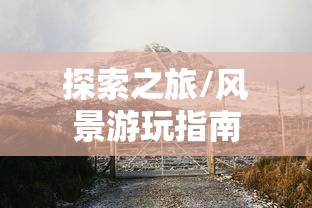 LOL手游中的无畏之狼，狼人角色的独特魅力与挑战  第1张