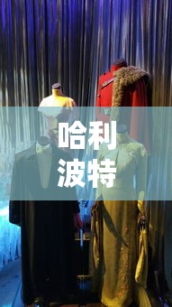 个人生日感言，感恩岁月，珍惜当下  第1张