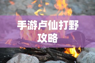 小乔皮肤纯白花嫁台词  第1张