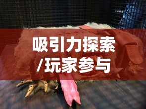电话卡注销方法介绍  第1张