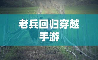 揭秘独特魅力车型，小e的独特之处  第1张
