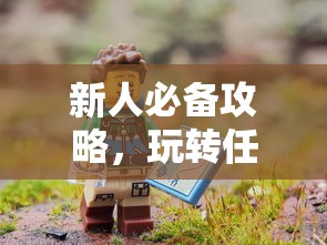 蓝鸟带天窗是什么版本  第1张