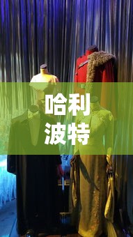 双龙戏珠1v2小说笔趣阁  第1张