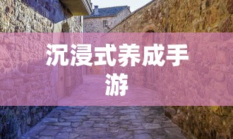 东北往事黑道风云二十年有声小说4  第1张