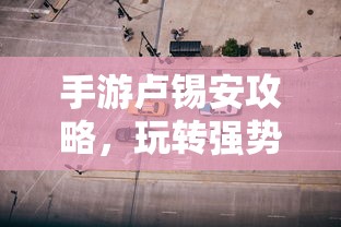 苏特尔特  第1张