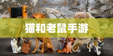 乙酰乙酸甲酯是危险品吗  第1张