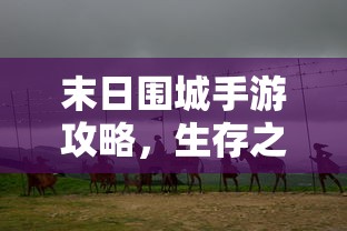 赛尔号圣灵谱尼第五关平民打法  第1张