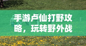 铃木奥拓新款  第1张