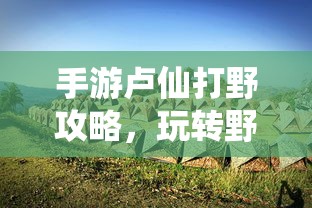 全职高手电视剧免费播放策驰  第1张