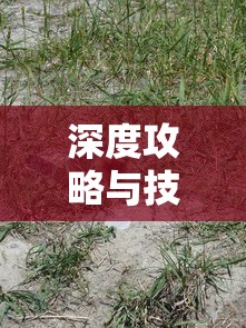 全员加速中2025  第1张