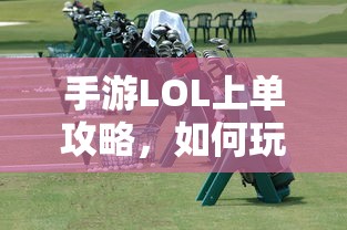 杨颖体重多少斤  第1张