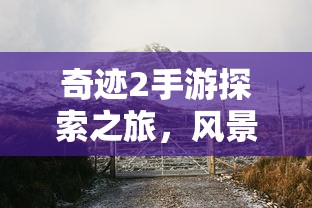 战区手游游客登录攻略，畅游游戏世界指南  第1张