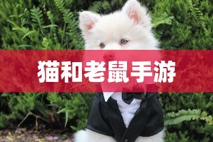 跳跳妹妹传记三  第1张