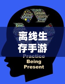 悟空电影免费高清观看  第1张