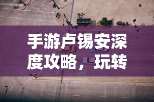 洛克精灵战记图鉴  第1张