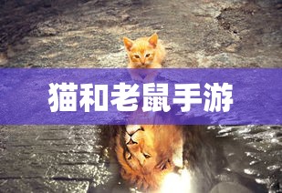 小僵尸贪玩  第1张