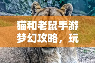 lol英雄永恩技能  第1张