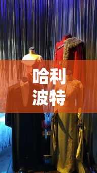 补体激活途径的共同点有哪些  第1张