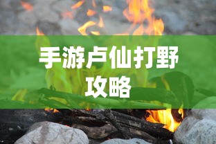 识趣知趣什么意思  第1张